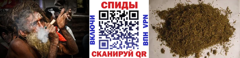 где можно купить   Шебекино  omg   Бутират буратино 