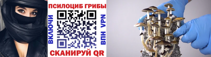 Псилоцибиновые грибы ЛСД  купить закладку  Шебекино 